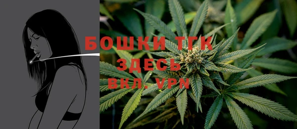 стафф Армянск