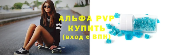 PSILOCYBIN Аркадак