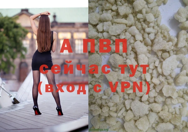 PSILOCYBIN Аркадак