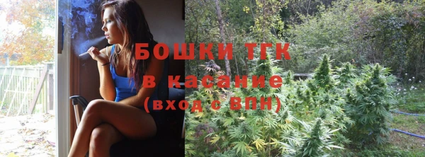 PSILOCYBIN Аркадак