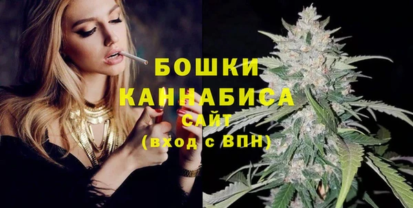 PSILOCYBIN Аркадак
